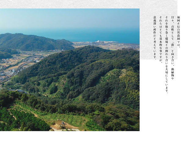 圖文排版