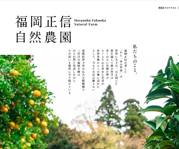 精美配圖
